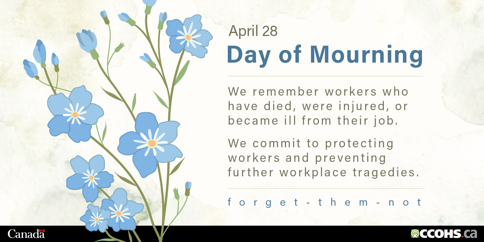 Flags Remain Lowered in Honour of the National Day of Mourning